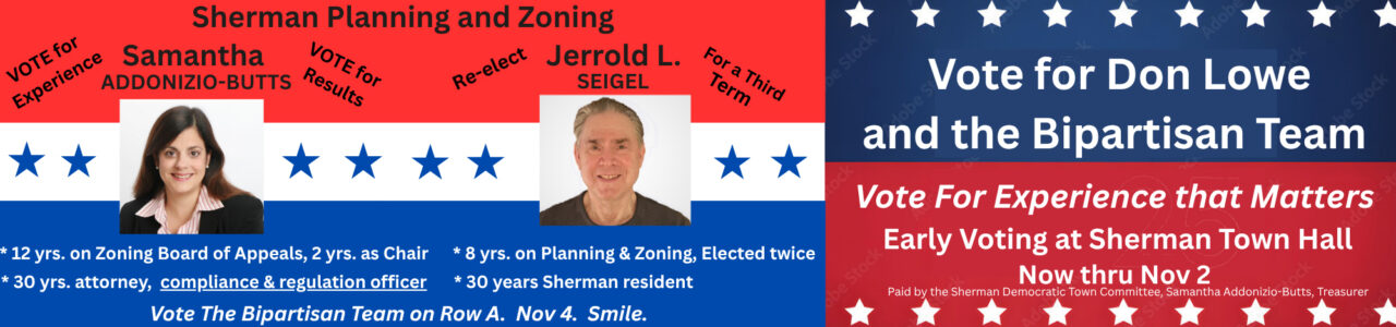 Vote BIpartisan Team Row A (10 x 2