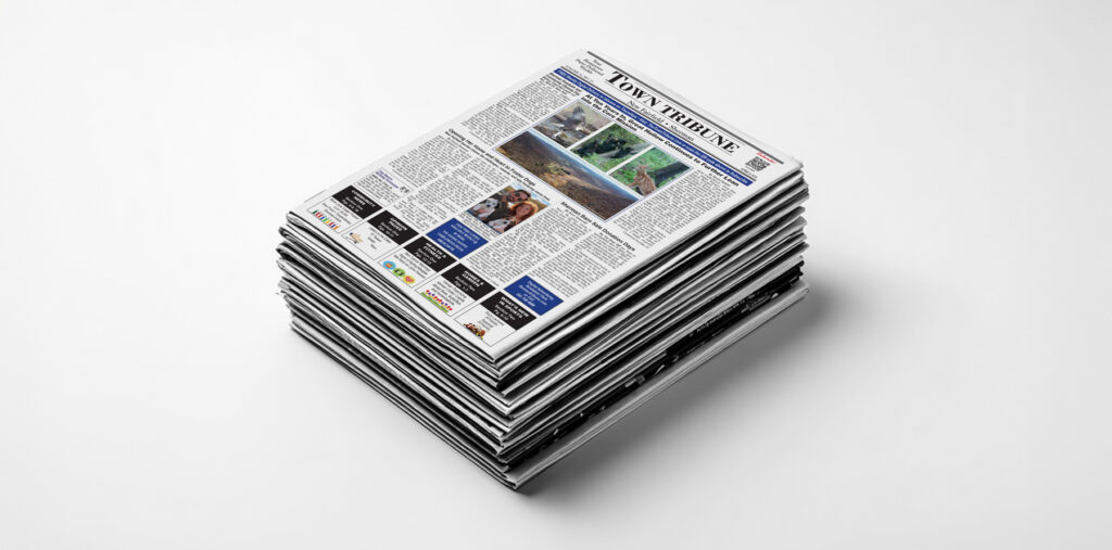 Weekly Edition 4-9-2026